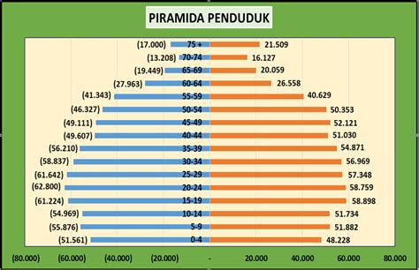 Struktur Usia Penduduk