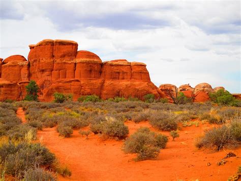 Colorado Plateau Shrublands | One Earth