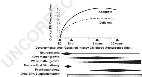 [PDF] Role of omega-3 fatty acids in brain development and function ...