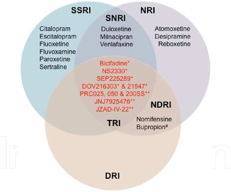 Figure 2 from A New Class of Antidepressant Drugs in the Treatment of Psychiatric Disorders: The ...