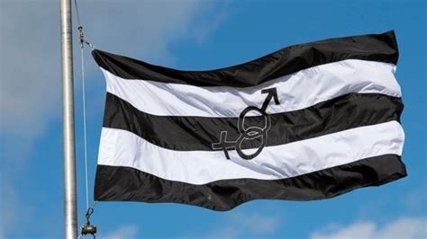 Petition · Straight Pride Flag Emoji · Change.org