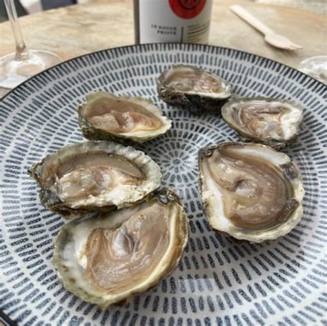 The Ultimate Guide to Belon Oysters - BREIZH AMERIKA