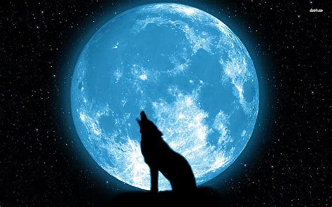 Full Blue Moon Wolf , Background, Celestial Moon HD wallpaper | Pxfuel