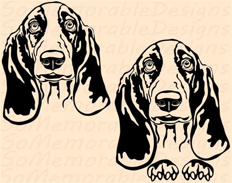 Basset Hound Svg, Basset Hound Svg File for Cricut, Basset Hound ...