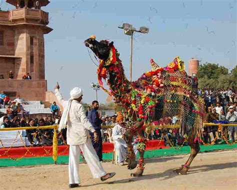 Celebrate this Makar Sankranti in Rajasthan - Life News | The Financial ...