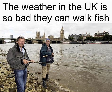 I’m from Britain, can confirm I have pet fish. : r/Meme_Battles