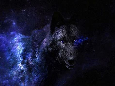 Black Wolf With Blue Eyes Wallpapers - www.Wolf-Wallpapers.pro