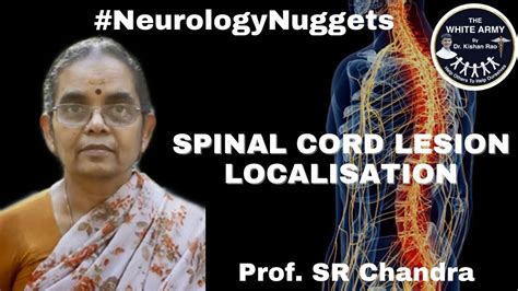 Understanding Spinal Cord Lesions: Symptoms, Diagnosis, and Recovery