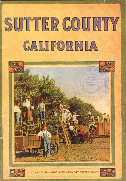 Sutter County, California M.B LEVICK