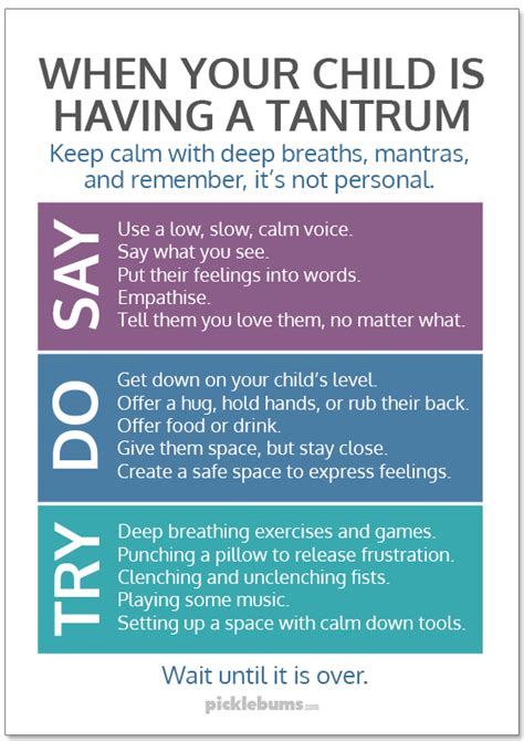 Things You Can Say or Do When your Child is Having a Tantrum