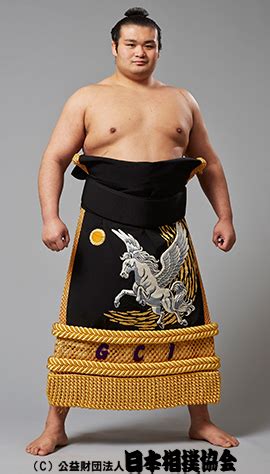 Cool Sumo Kesho-Mawashi Designs! – JapanSauce.Net