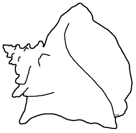 How To Draw A Conch Shell - Cliparts.co