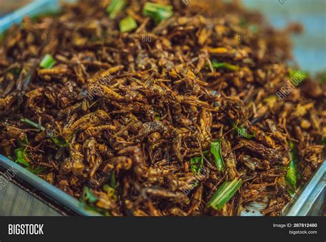 Fried Insects, Bugs Image & Photo (Free Trial) | Bigstock