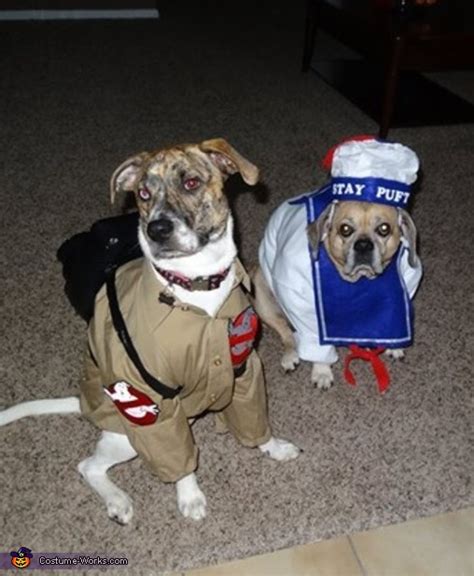 Ghostbusters Dog Costumes | DIY Costumes Under $25