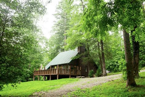 14 Cozy Pet-Friendly Cabins in Kentucky - Doggy Check In