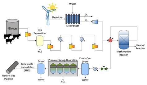 Cow poop could help us make clean(er) energy | Popular Science