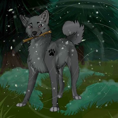 My wolves. (Pack?) | Wiki | ~Wolf Pack Amino~ Amino