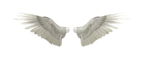 Angel Wings by GRAPHICSOUL on DeviantArt