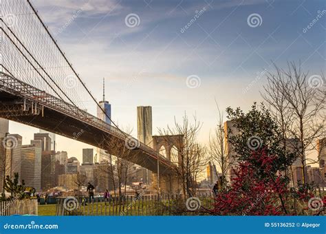 Brooklyn Bridge Park at Sunset Editorial Photography - Image of building, park: 55136252