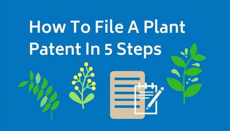 How To File A Plant Patent In 5 Steps | Bold Patents Law Firm