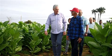 Díaz-Canel: ‘Cuba Can Move Forward and Grow’ – Orinoco Tribune – News and opinion pieces about ...