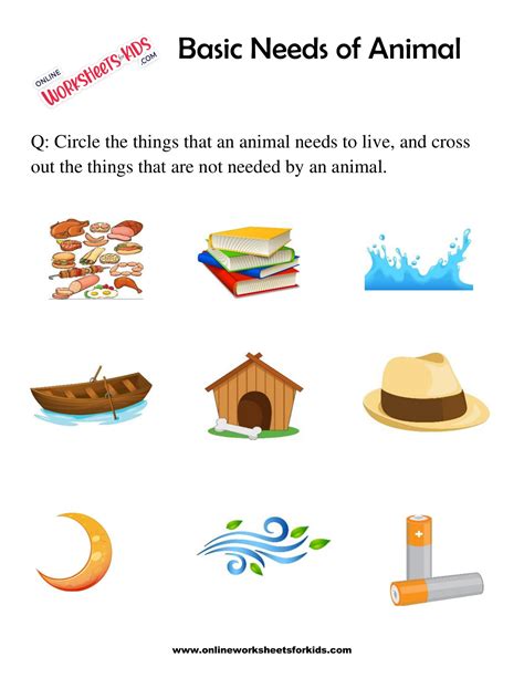 Basic Needs of Animal Worksheet for grade 1-7