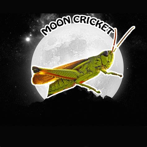 The MoonCricket - YouTube