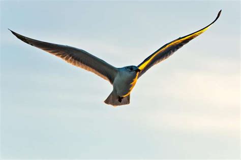 Emerald Coast Wildlife Refuge | SoWal.com