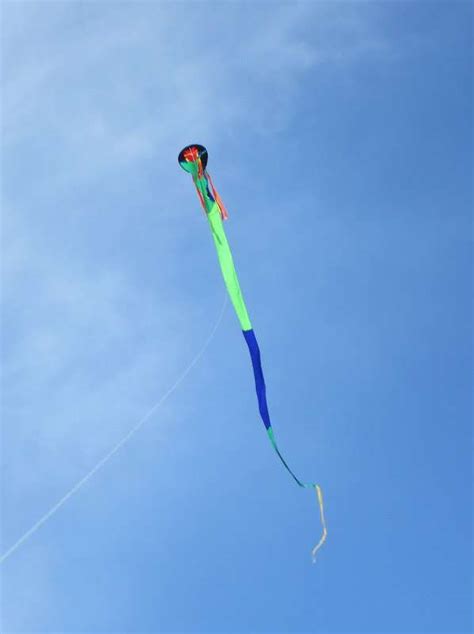 Dragon Kites | American Kitefliers Association (AKA)