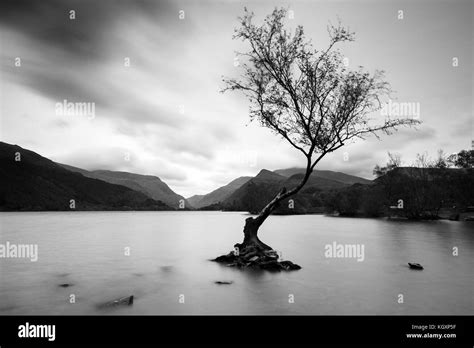 Photograph by © Jamie Callister. Llyn Padarn, Snowdonia National Park ...