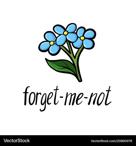 Flower of forget-me-not Royalty Free Vector Image