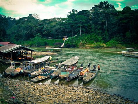 Taman Negara Rainforest, Pahang, Malaysia | Cool places to visit ...