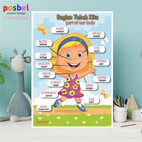 Tinjauan Poster Edukasi Anak Gambar Edukasi Anak Poster Belajar Anak - Riset