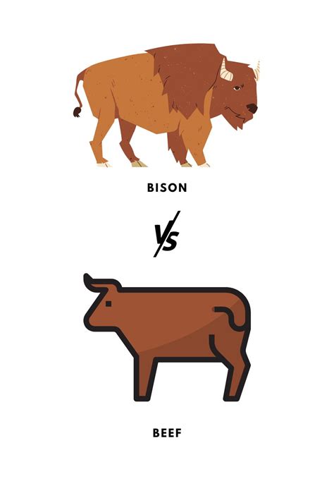 Bison FAQs – One Stop Halal