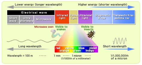 Solar Radiation - Geography Study Material & Notes