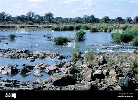 A section of the Crocodile River in South Africa's Kruger National Park ...