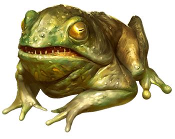 Giant Frog | Kryx RPG