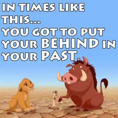 You gotta put your behind in the past- Pumba (: | Lion king quotes ...