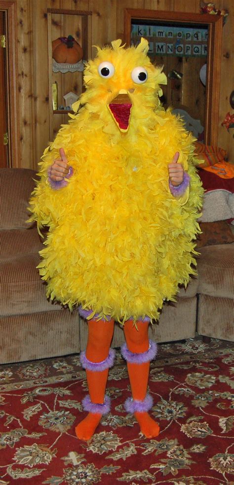 Big Bird for Claire Costumes | Costume Pop | Bird costume, Big bird halloween costume, Big bird ...