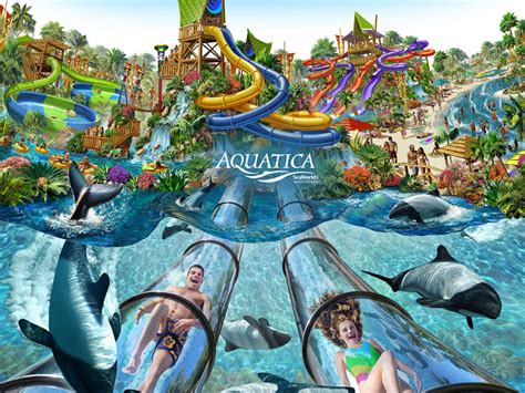 Aquatica Water Park in Orlando: The Place to Splash Into - Al's Blog