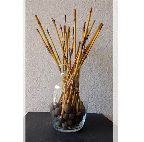 Glass Vase Filled with Bamboo Sticks — Homebnc