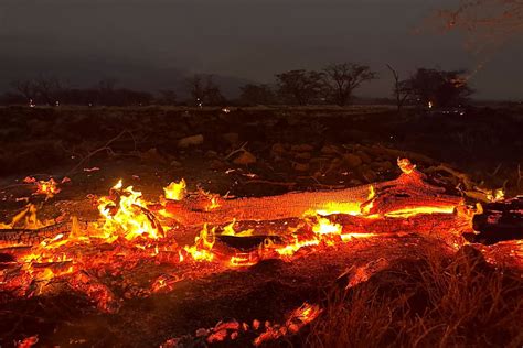 What caused the Hawaii wildfires? | The Standard