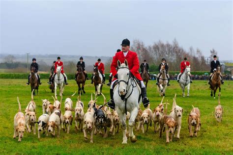 Scent trail hunt excites crowds as traditional Boxing Day meet goes ...