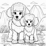 Poodle Coloring Pages  Free & Printable sketch template