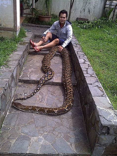 a man sitting on steps with a large snake