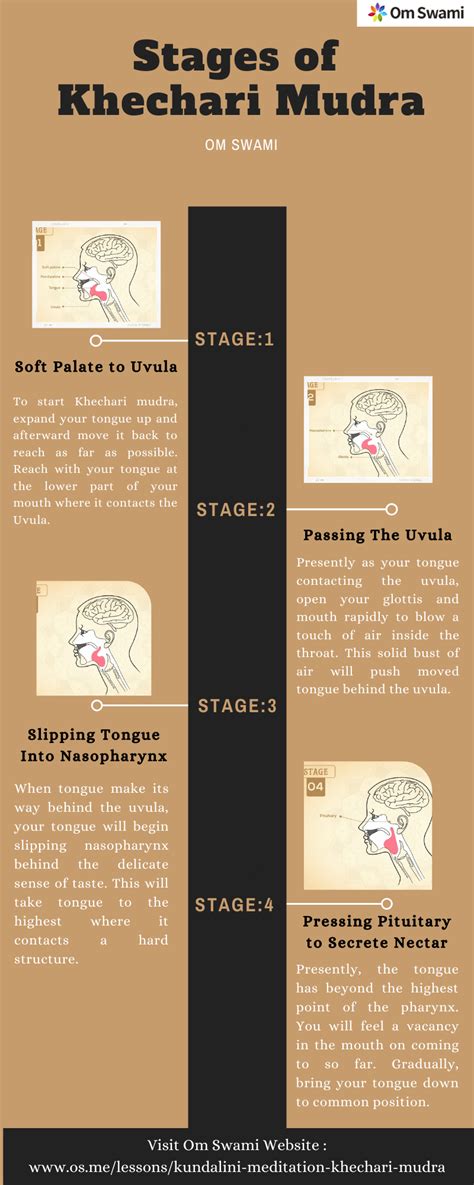 Stages of Khechari Mudra Practice | Mudras, Kundalini meditation, Kundalini