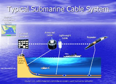 Risk Management in Submarine Cable System - Submarine Networks