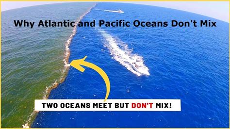 Why the Atlantic and Pacific Oceans Don't mix | Atlantic and pacific oceans don't mix #Oceans ...