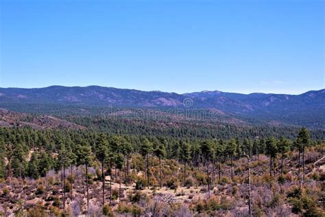 Prescott National Forest, Arizona, United States Stock Photo - Image of ...