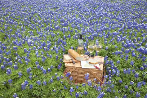 10 Best Texas Hill Country Wineries & Vineyards 2024